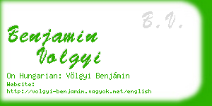 benjamin volgyi business card